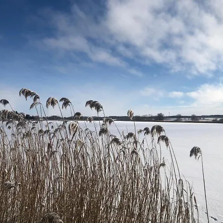 Haus Am Mit Steg, Boot, Kamin Und Sauna - Mecklenburgische Seenplatte * Blankensee (Mecklenburg-Vorpommern)