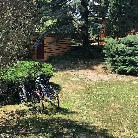 Haus Am Mit Steg, Boot, Kamin Und Sauna - Mecklenburgische Seenplatte Blankensee (Mecklenburg-Vorpommern)
