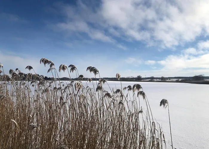 Haus Am Mit Steg, Boot, Kamin Und Sauna - Mecklenburgische Seenplatte * Blankensee (Mecklenburg-Vorpommern)