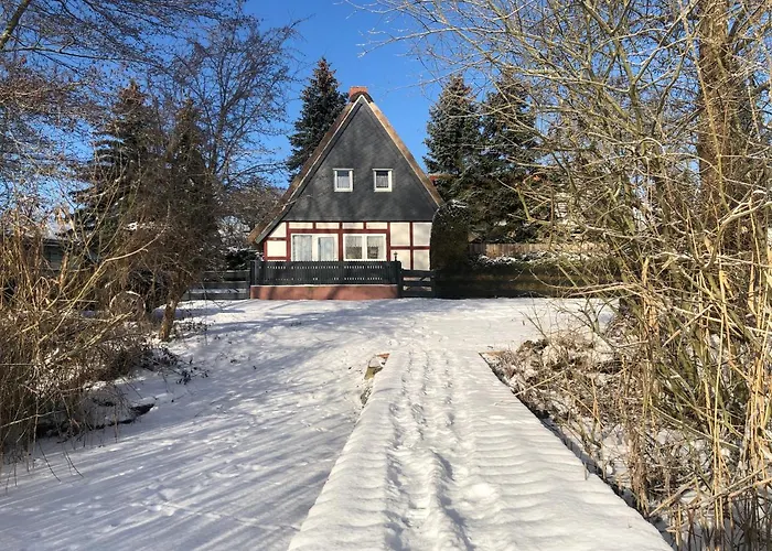 Haus Am Mit Steg, Boot, Kamin Und Sauna - Mecklenburgische Seenplatte Blankensee (Mecklenburg-Vorpommern)